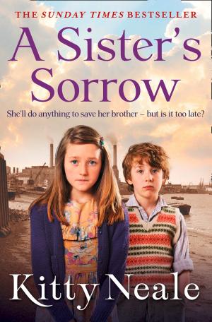 Cover of the book A Sister’s Sorrow by Kathryn Cope