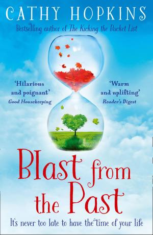 Cover of the book Blast from the Past by Ann Troup