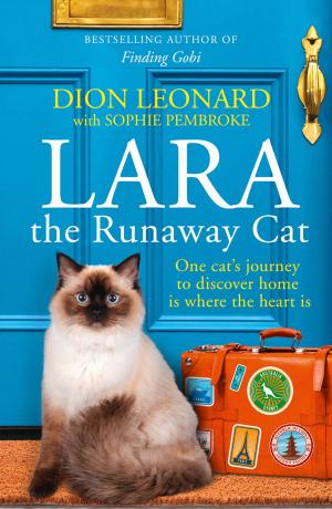 Book cover of Lara The Runaway Cat: One cat’s journey to discover home is where the heart is