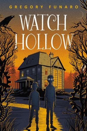Book cover of Watch Hollow