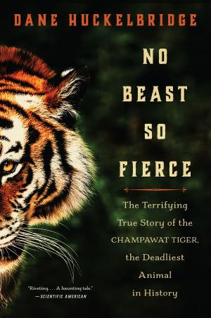 Book cover of No Beast So Fierce