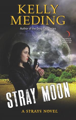 Cover of the book Stray Moon by Ruth Vincent