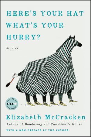 Cover of the book Here's Your Hat What's Your Hurry by S.L. Siwik