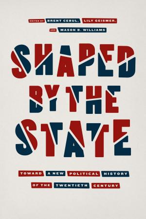 Cover of the book Shaped by the State by David Halle, Elisabeth Tiso