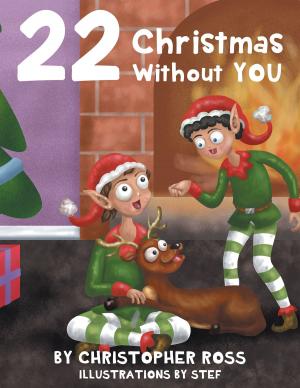 Cover of the book 22 Christmas Without You by Margrit De graff