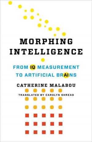 Book cover of Morphing Intelligence