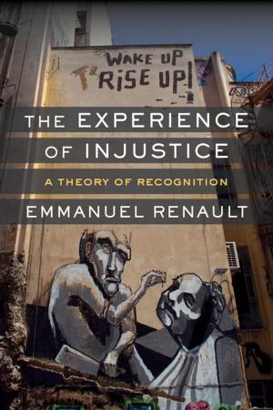 bigCover of the book The Experience of Injustice by 