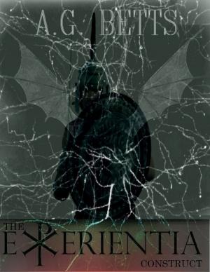 Book cover of The Experientia Construct