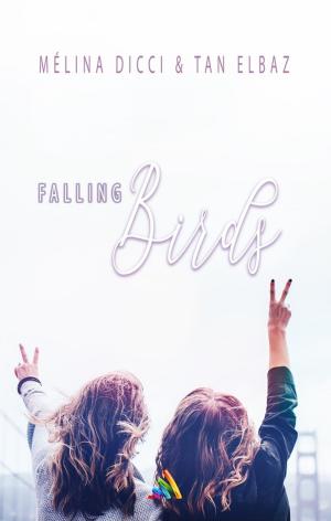 Cover of the book Falling Birds | Livre lesbien, romance lesbienne by Luce Even