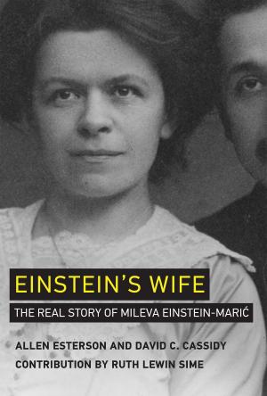 Cover of the book Einstein's Wife by Rebecca Comay, Frank Ruda
