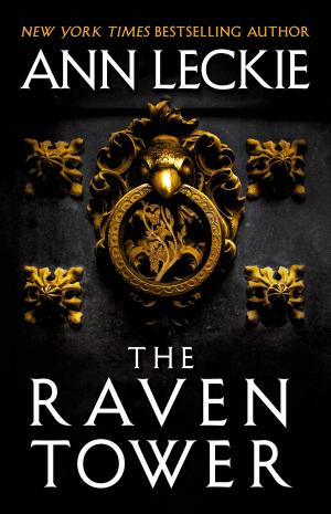 bigCover of the book The Raven Tower by 
