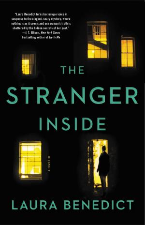 Cover of the book The Stranger Inside by M.L. Pennock