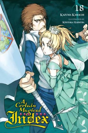 Cover of the book A Certain Magical Index, Vol. 18 (light novel) by Kumo Kagyu, Kento Sakaeda, Shingo Adachi, Noboru Kannatuki