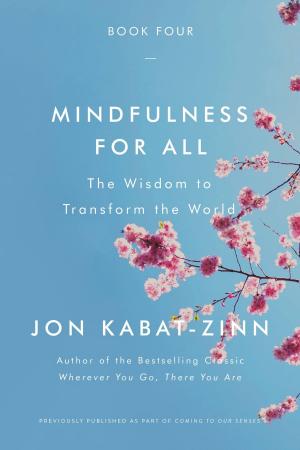 Cover of the book Mindfulness for All by Christian Picciolini
