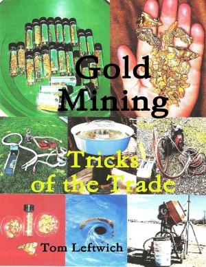 Book cover of Gold Mining Tricks of the Trade