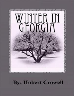 Cover of the book Winter In Georgia by Sophia Von Sawilski
