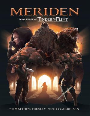 Cover of the book Meriden: Book 3 of Tinder & Flint by Gregory Coley
