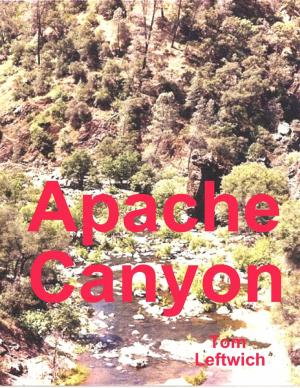Cover of the book Apache Canyon by Corey Ballard, Dameon Gibbs