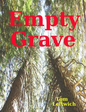 Cover of the book Empty Grave by Vincent Thnay