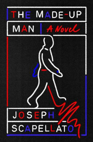 Cover of the book The Made-Up Man by Paul Stegweit