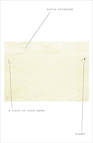 Cover of the book A Piece of Good News by Edward Countryman