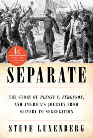 Cover of the book Separate: The Story of Plessy v. Ferguson, and America's Journey from Slavery to Segregation by Lydia Millet