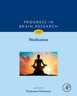 Cover of the book Meditation by John Vanderkolk