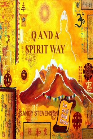 Cover of Q and A Spirit Way