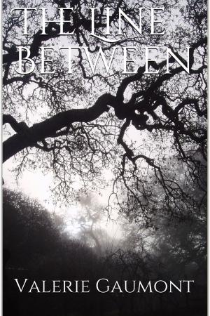 bigCover of the book The Line Between by 