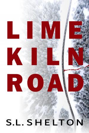 Cover of the book Lime Kiln Road by Liliane Parkinson