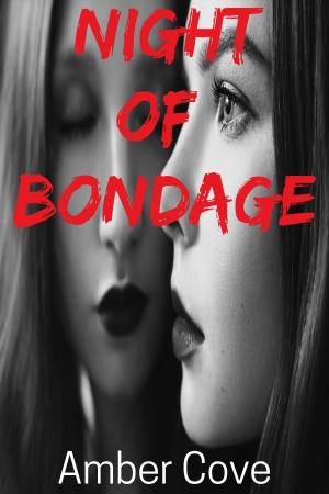 Book cover of Night of Bondage