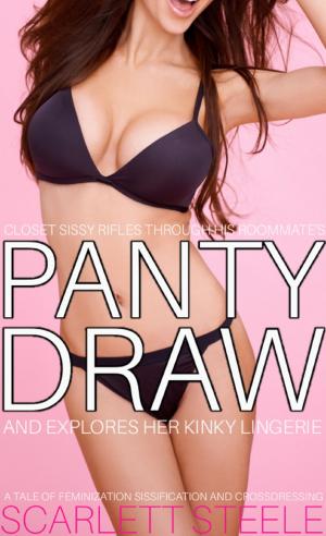 Book cover of Closet Sissy Rifles Through His Roommate’s Panty Draw And Explores Her Kinky Lingerie