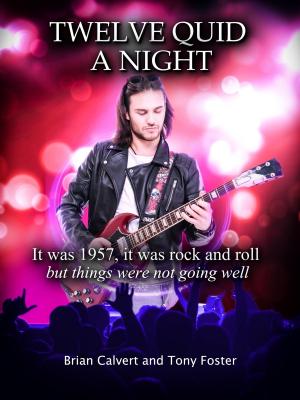Book cover of Twelve Quid a Night