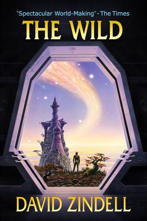 Cover of the book The Wild by 