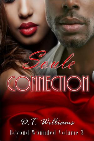 Cover of Soule Connection: Beyond Wounded Volume 3