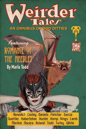 Cover of the book Weirder Tales: An Omnibus of Odd Ditties by WPaD, Mandy White, J. Harrison Kemp, David W. Stone, Marla Todd, Nathan Tackett, Zoltana, A.K. Wallace
