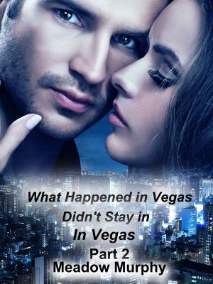 Cover of the book What Happened in Vegas, Didn't Stay in Vegas Part 2 by Jane Sullivan