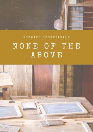 Cover of the book None of the Above by Steve Levine