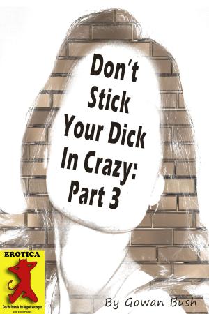 Cover of the book Don't Stick Your Dick In Crazy: Part 3 by Gowan Bush