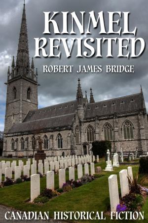 Cover of the book Kinmel Revisited by Misty M. Beller