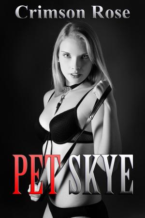 bigCover of the book Pet Skye by 