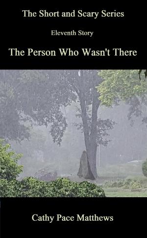 Book cover of 'The Short and Scary Series' The Person Who Wasn't There