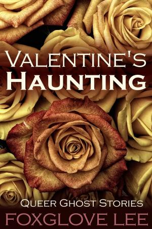 Cover of the book Valentine's Haunting by J.J. Brass