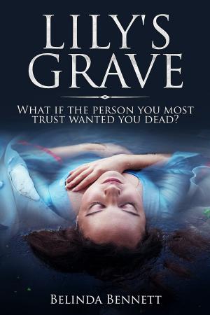 Book cover of Lily's Grave
