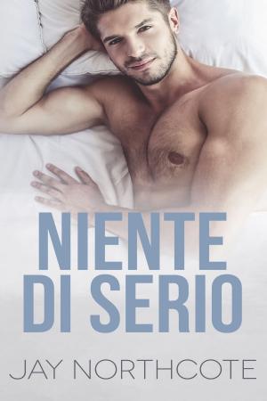 Book cover of Niente di serio