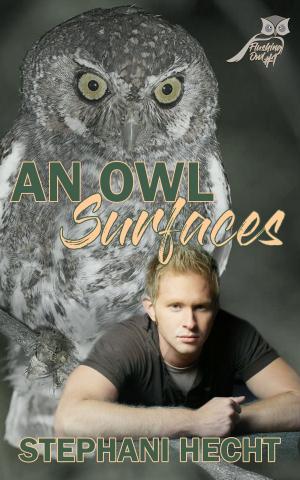 Cover of An Owl Surfaces
