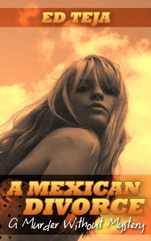 Cover of the book A Mexican Divorce: A Murder Without Mystery by Amelia Moore
