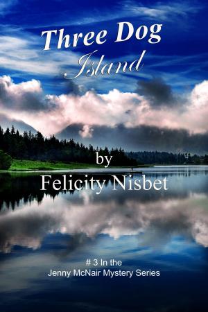 Cover of the book Three Dog Island: Book #3 in the Jenny McNair Mystery Series by Verity Norton