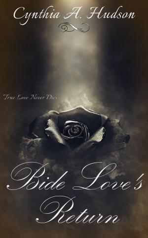 Cover of the book Bide Love's Return by Jennifer Ashley