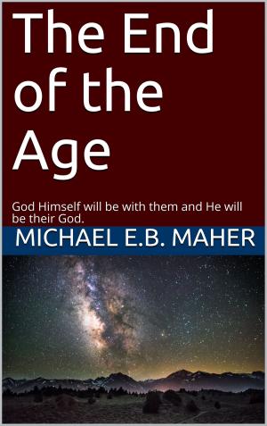 Cover of the book The End of the Age by Daniel Duval